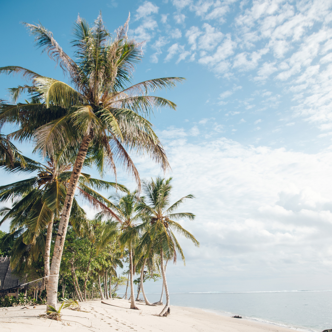Meet our Suppliers - The Story Behind Heilala Vanilla