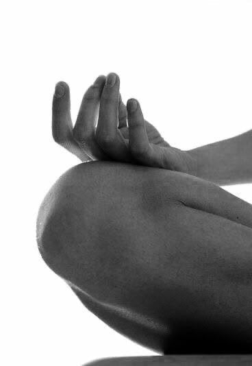 Protein, Hormones & Enzymes: What’s the Connection?